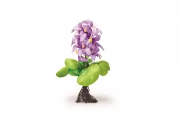 Expresní Doručení Pontec PondoHyacinth Blooming
