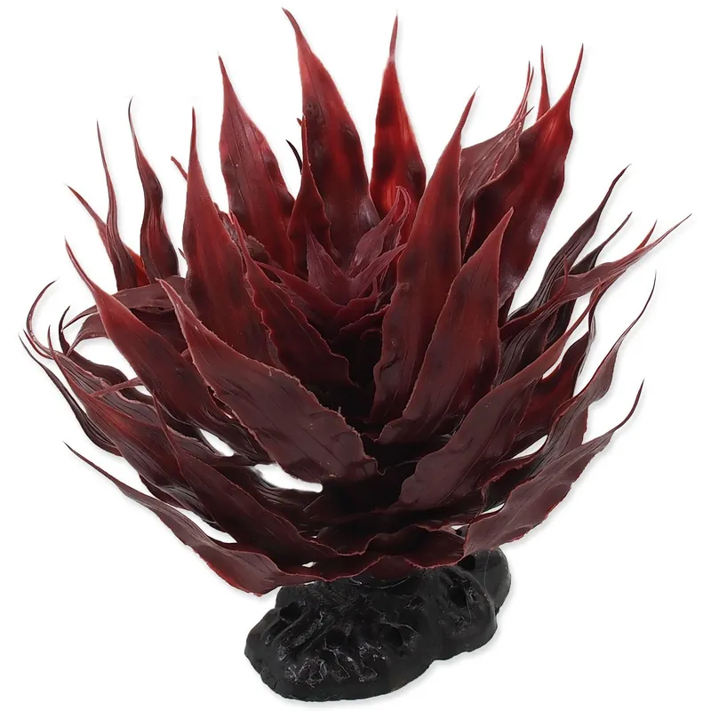 Sezónní Sleva Rostlina REPTI PLANET sukulent Agave červená 18 cm