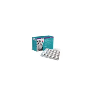 Hit Sezóny NutriCareVet Stress support Can.+Fel. 30tbl CVET