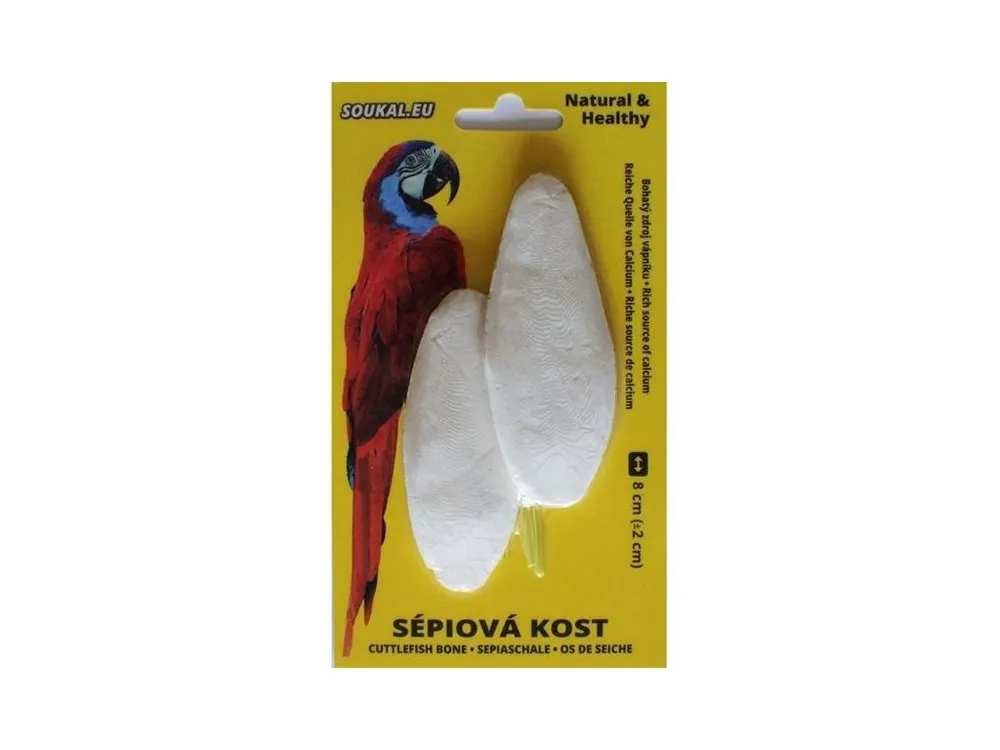 Sépiová kost na kartě 8cm, 2ks Rychlé Dodání
