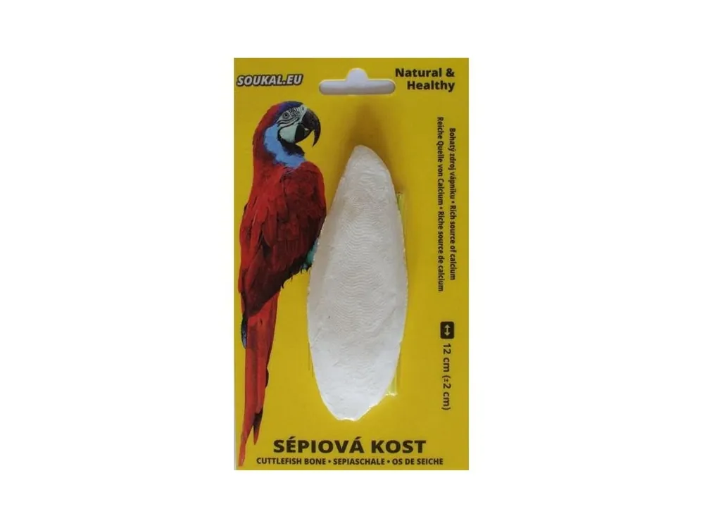 Nejlepší Volba Sépiová kost na kartě 12cm, 1ks