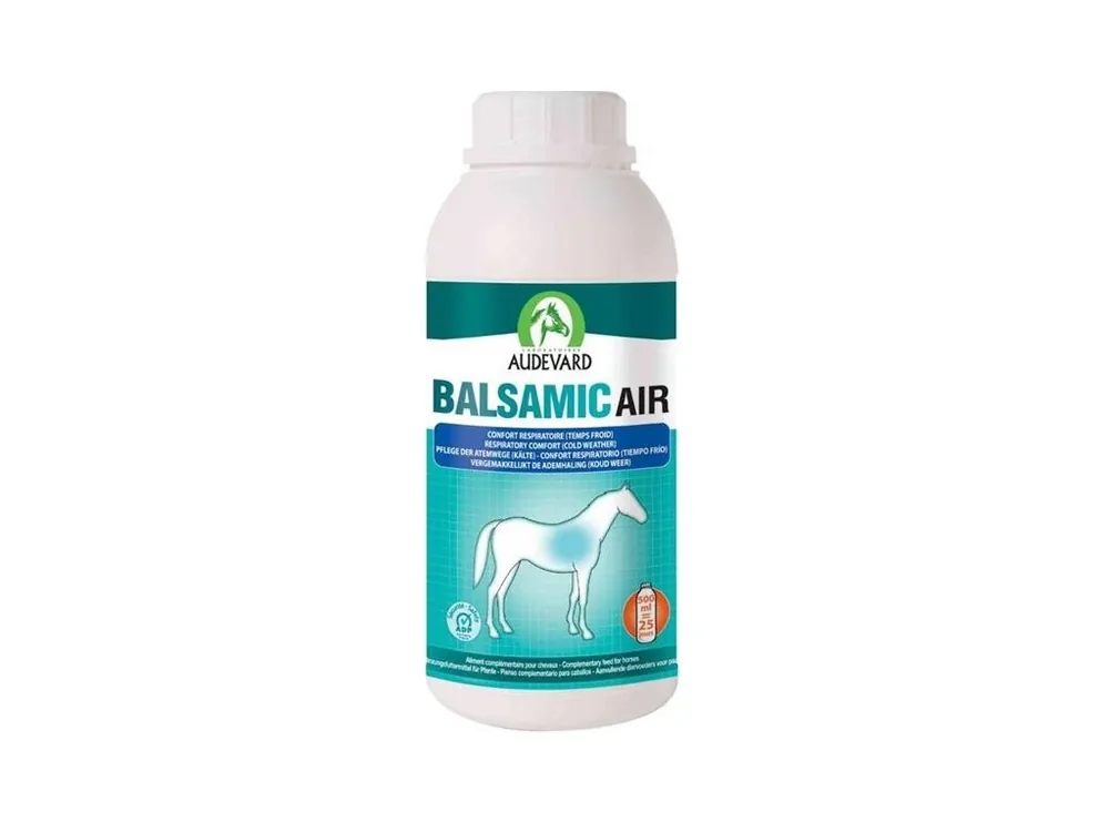 Objednat Nyní Audevard Balsamic Air 500ml