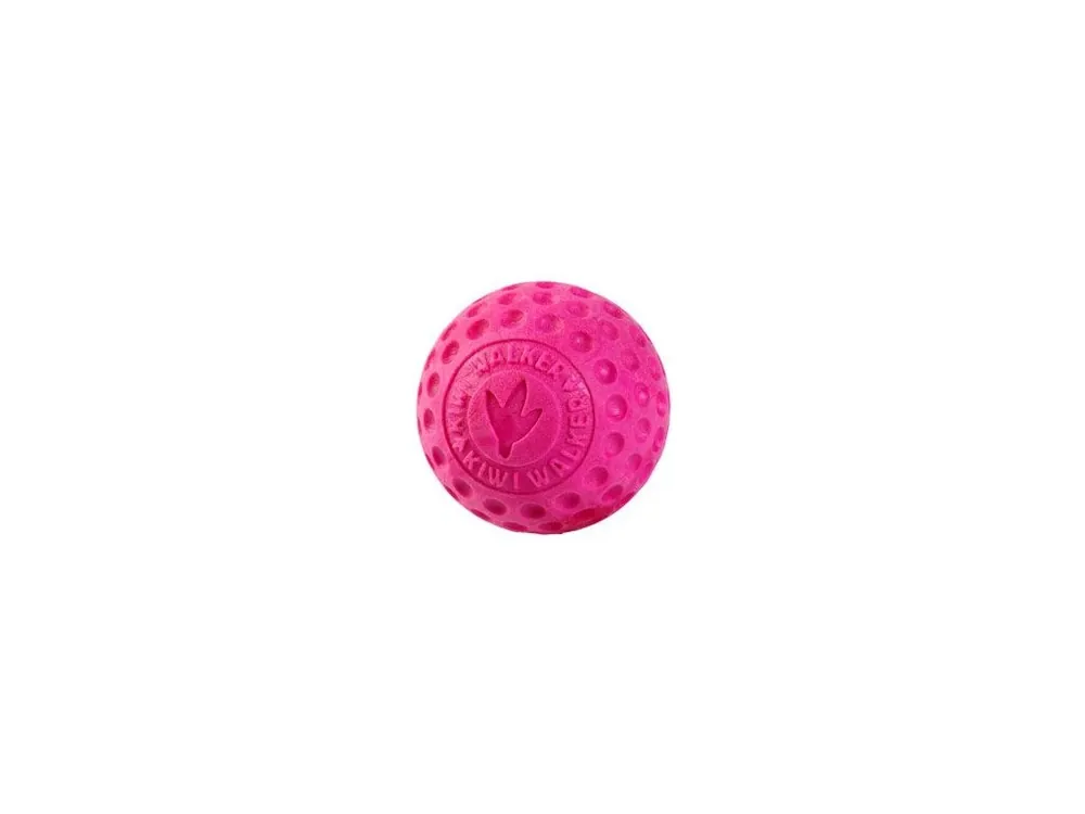 Hračka pes BALL MAXI plov. z TPR růžová Kiwi Super Cena