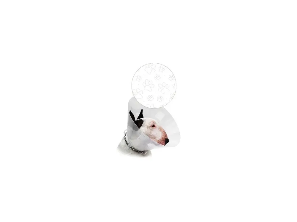 Límec ochranný CVET transparent tlapky 15cm 1ks Víkendová Akce