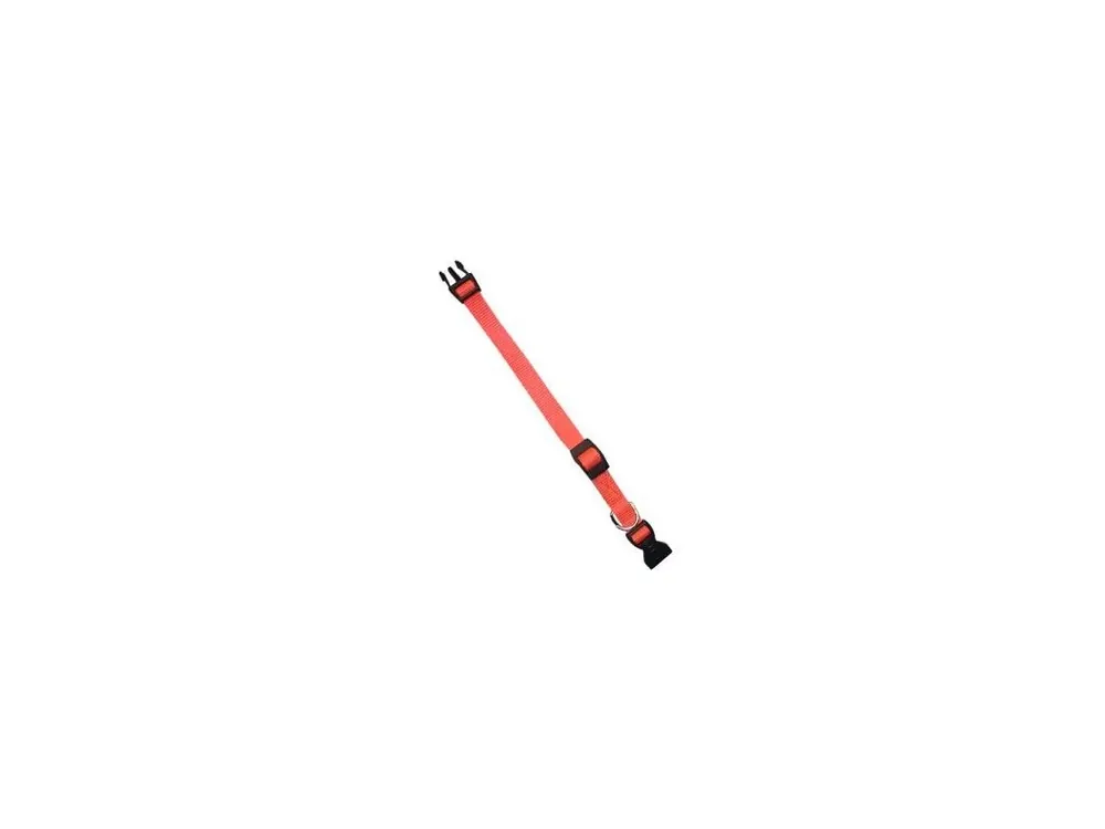 Levný Obojek nylon CLUB C 32cmx10mm oranžový FP 1ks