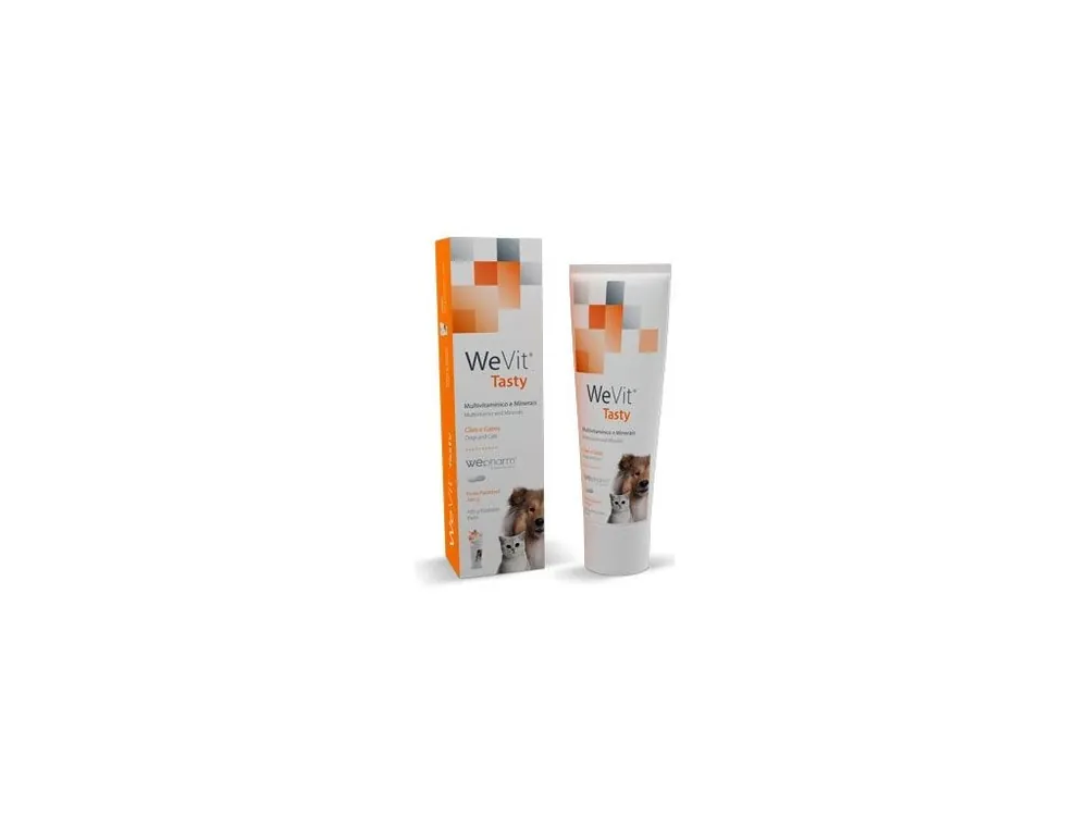 WeVit Tasty 100g Top Prodej