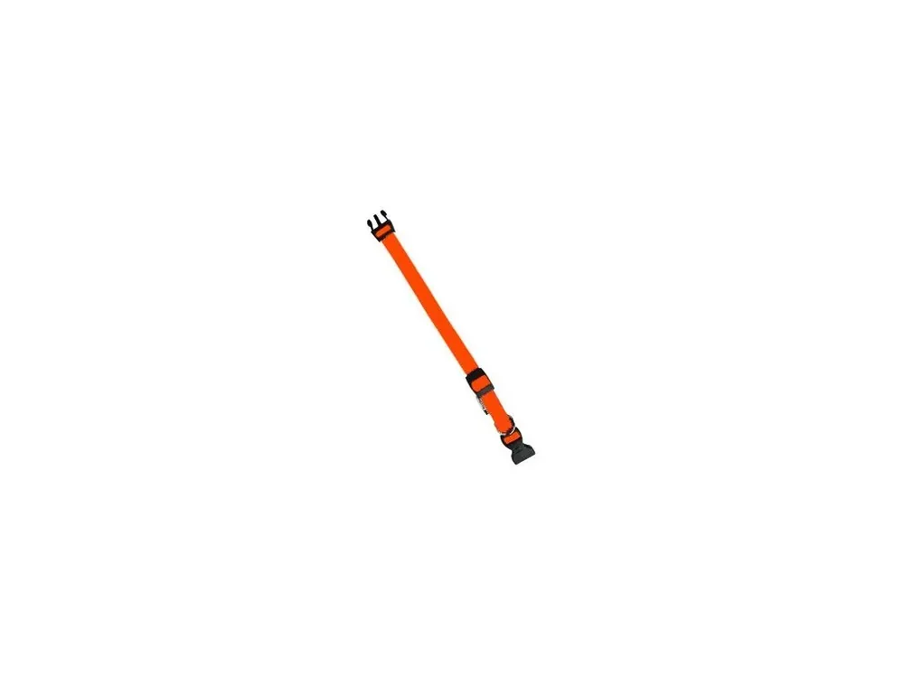 Obojek nylon CLUB C 56cmx20mm oranžový FP 1ks Kup Teď