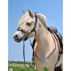 Bezudidlová uzdečka EDIX ED4 Hack‑Q® Classic Kup Teď