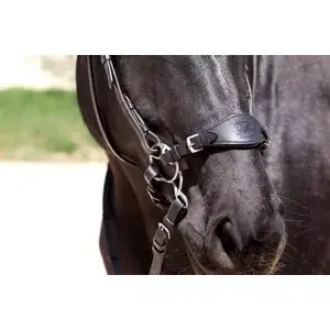 Kup Teď Nánosní řemínek pro BBB® nebo hackamore
