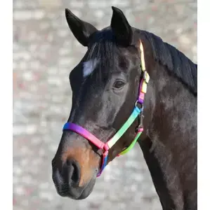 Akční Cena Nylonová duhová ohlávka "Rainbow"