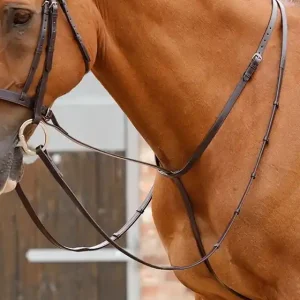 Speciální Cena Kožený pevný martingal Premier Equine