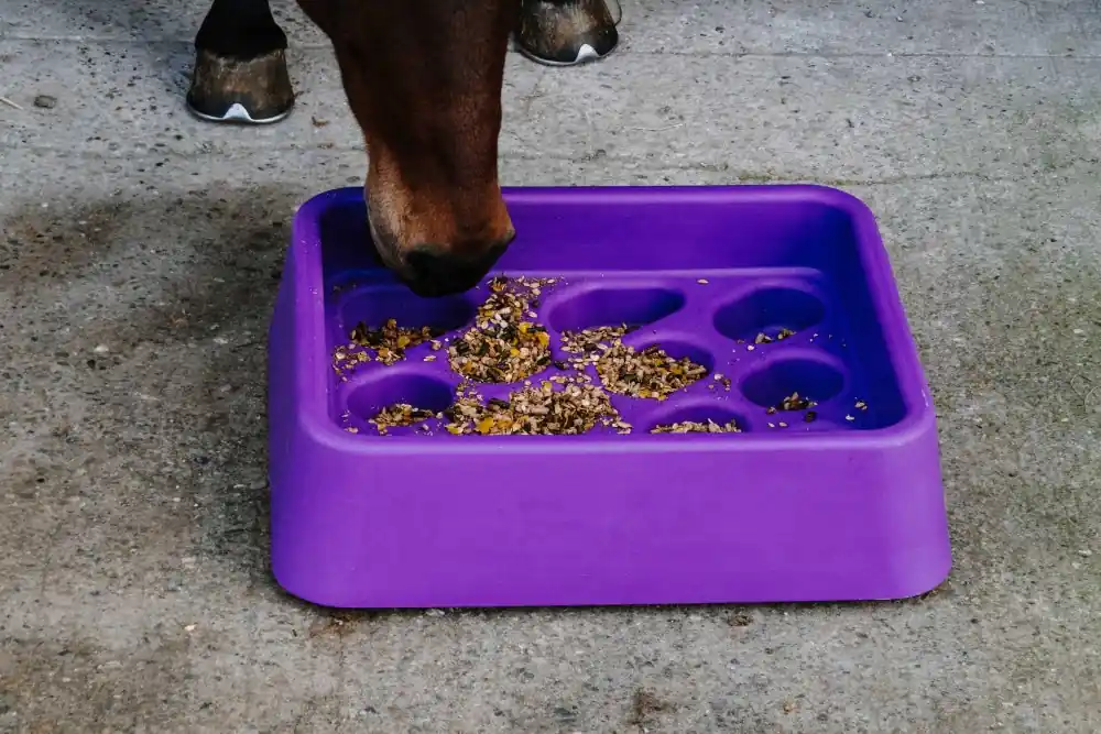 Přímo Od Výrobce Slow feed žlab pro koně Hippotonic