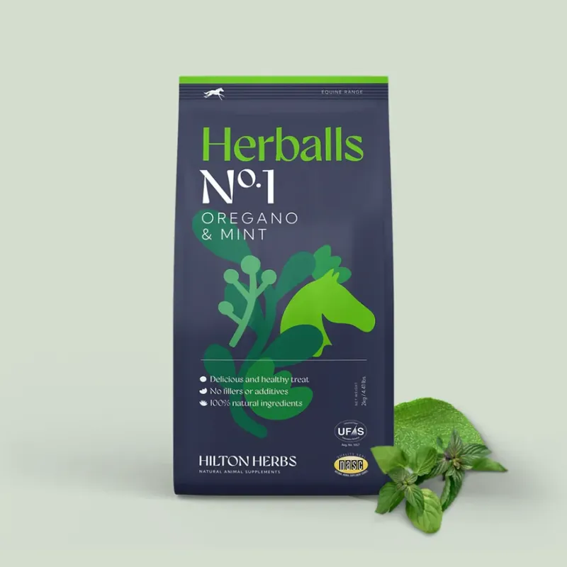 Pamlsky HILTON HERBS Herballs Oregano & mint - Velikost 2 kg Autentický