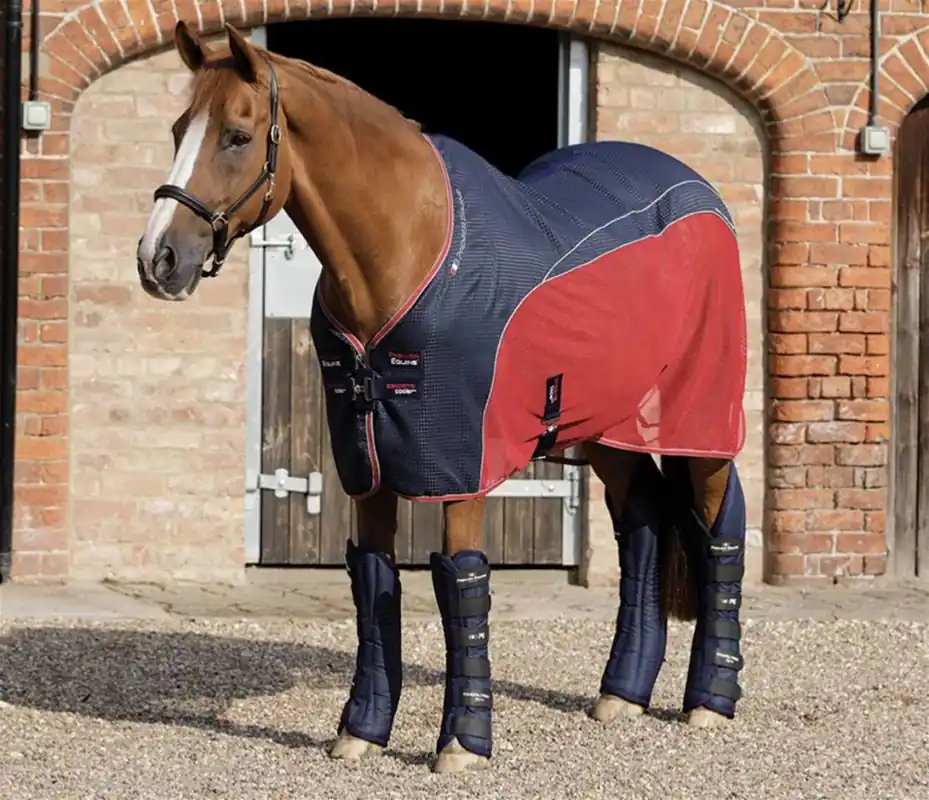 Top Prodej Lehká deka pro koně Premier Equine Sports Cooler - Barva ČernáVelikost 6,6" (150cm)
