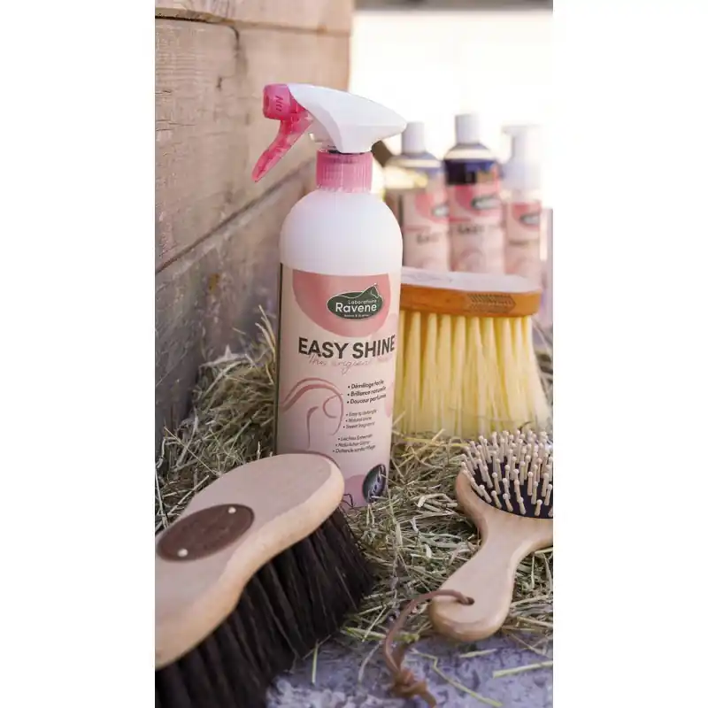 Lesk EASY SHINE RAVENE ECO 750ml Cenově Výhodný