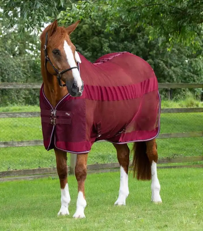 Letní síťová deka Premier Equine Arisca - Barva VínováVelikost 5,6" (120cm) Víkendová Akce