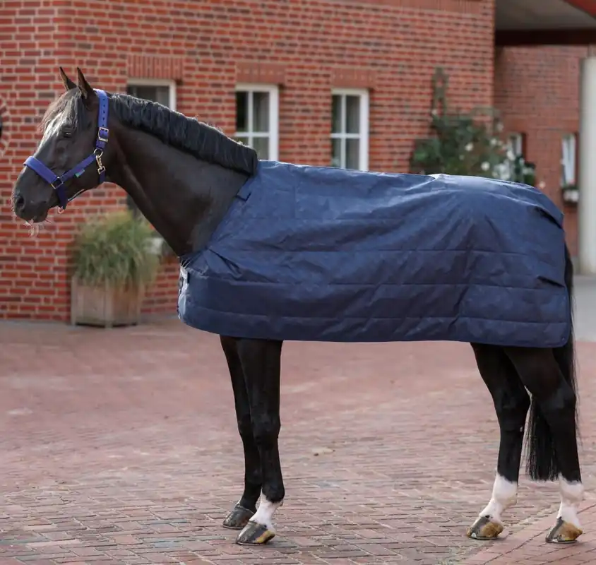 Novinka Liner Bucas 200g - Velikost 135cm (6´0)
