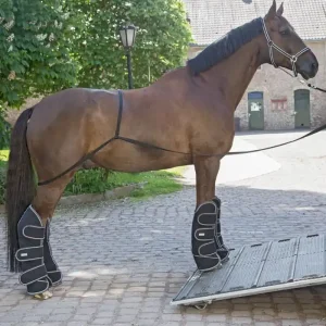Pomocná lonž při přepravě Pouze Dnes