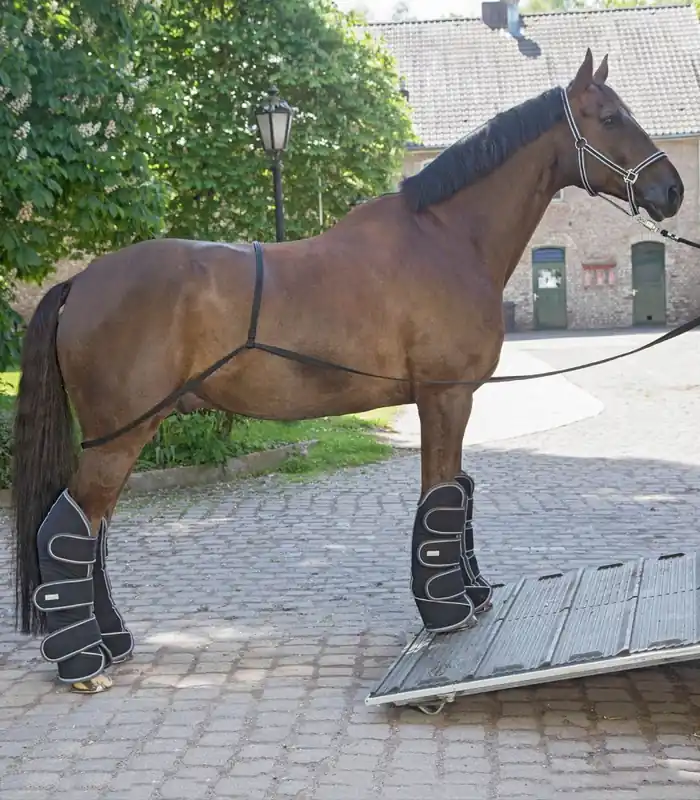 Pomocná lonž při přepravě Pouze Dnes