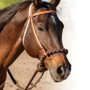 Nejlepší Cena Loping hackamore Professional‘s Choice Schutz