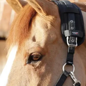Dokud Zásoby Vydrží Magnetická podložka pod nátylník Premier Equine Magni-Teque Magnetic