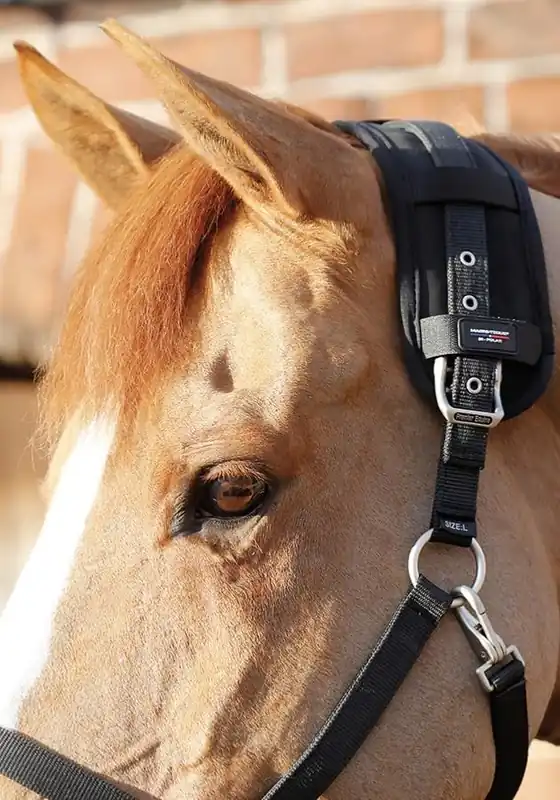 Dokud Zásoby Vydrží Magnetická podložka pod nátylník Premier Equine Magni-Teque Magnetic