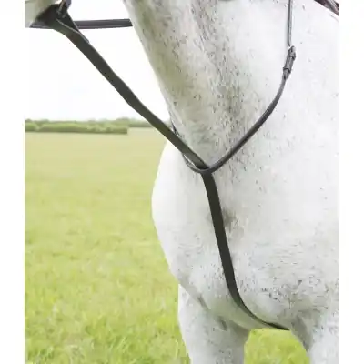 Martingal SHIRES VELOCITI Gara Standing - Barva HavanaVelikost PONY Aktuální