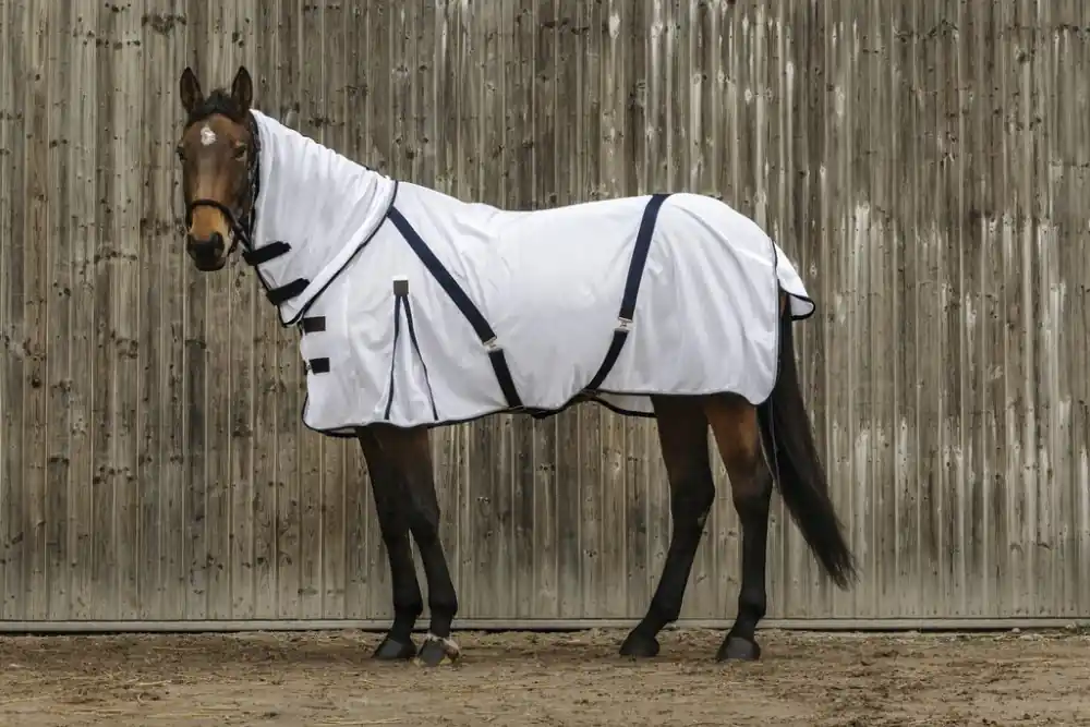 Značkový Síťová deka proti hmyzu Equitheme Combo - Velikost 6" (135cm)