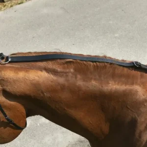 Cenová Bomba Pomocná otěž NORTON PRO