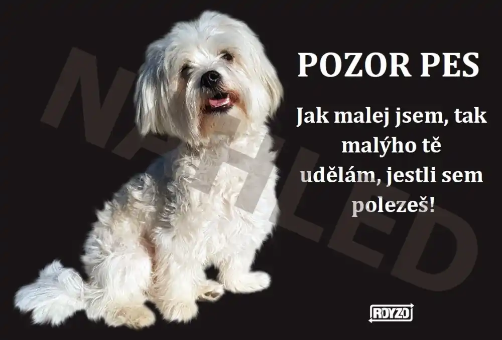 Sleva Výstražná tabulka BOLOŇSKÝ PSÍK