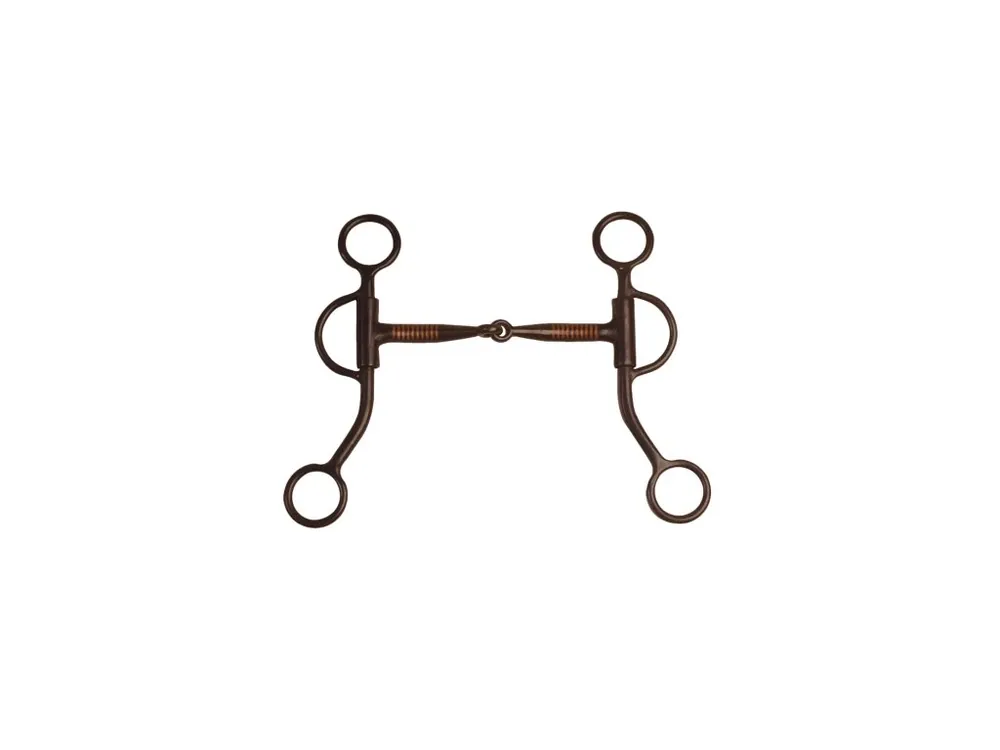 Westernová páka z black iron, medium cheeks Pool‘s, velikost 12,5 cm Cenová Bomba