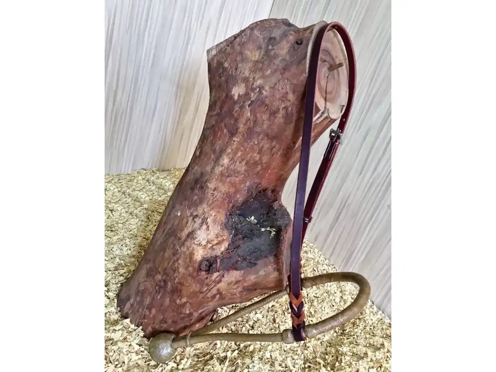 Aktuální Bosal Buckaroo s latigo řemínkem, natural