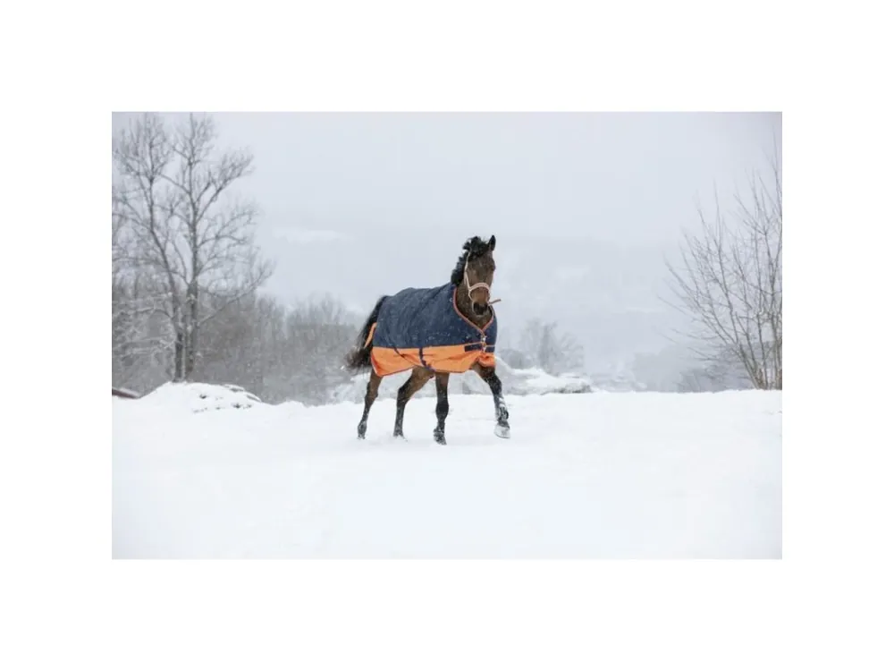 Výběhová deka Tyrex Equitheme 300g Originální