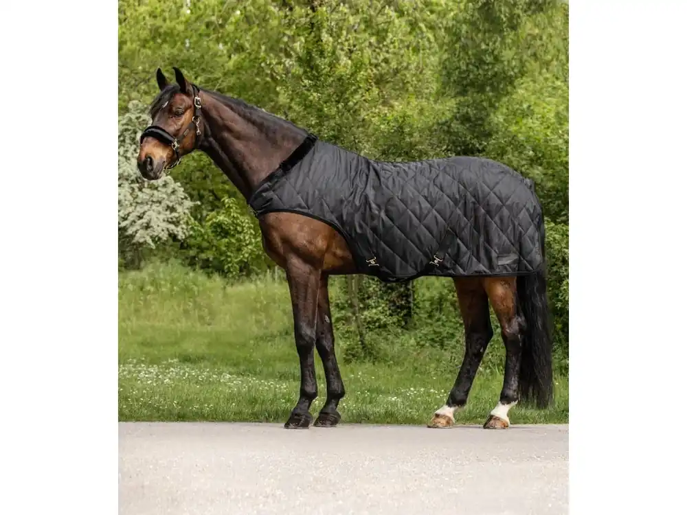Nejlepší Cena Deka do kolotoče Exclusive Horsewalker, zateplení cca. 50g