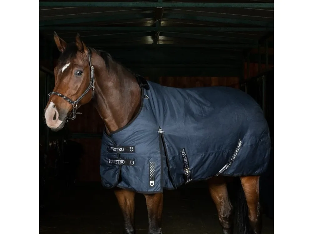 Nejlepší Volba Equestro zimní thermodeka Alberta, zateplení 500g