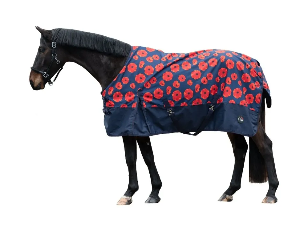 Zimní deka -Poppy- 600D, zateplení 300g Originální