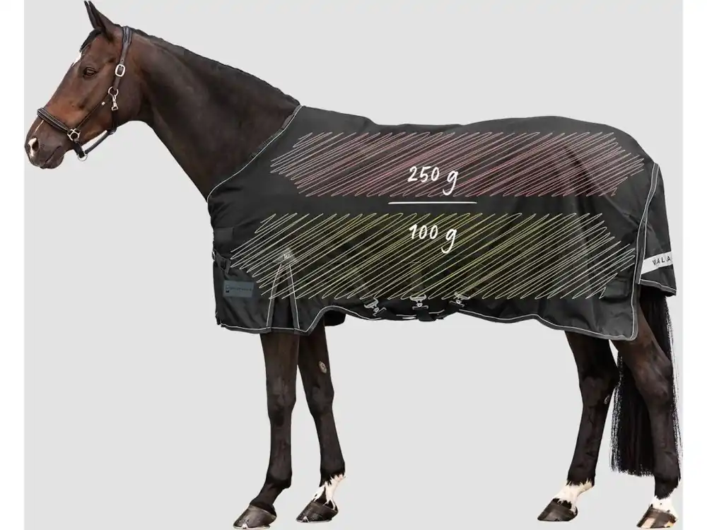 Objednat Nyní Zimní deka Scandic, zateplení 200 g/100 g