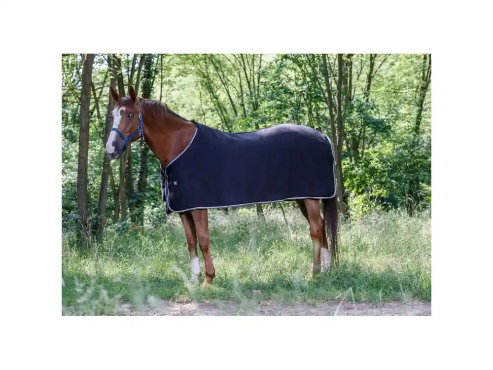 Kup Teď Odpocovací fleece deka Riding World
