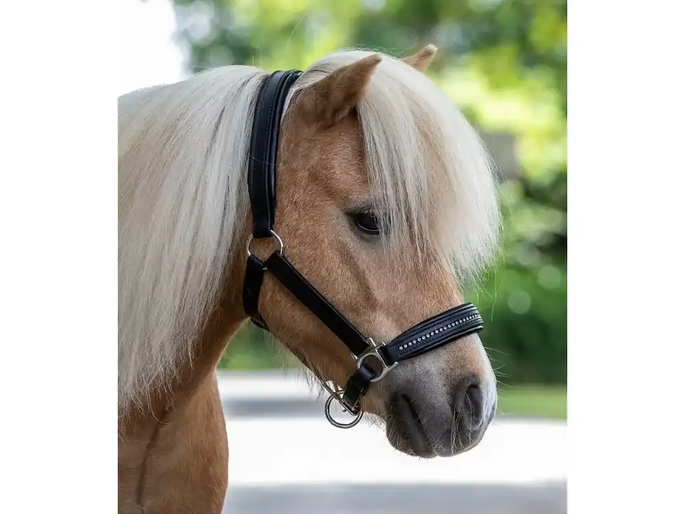 Cenově Výhodný Ohlávka STAR Diamond Waldhausen