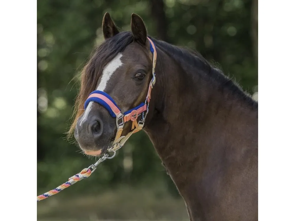 Ohlávka a vodítko pro pony, shetty a minishetty Horka Jolly Cenová Bomba