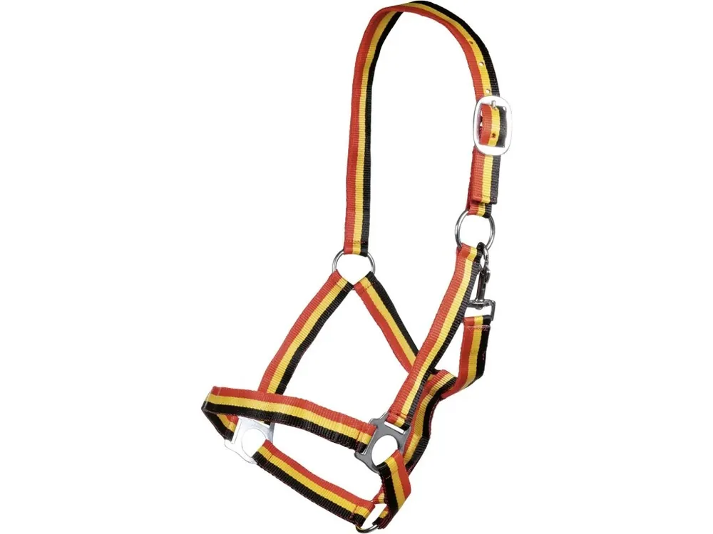 Objednat Nyní Ohlávka -Budapest- black/red/gold HKM