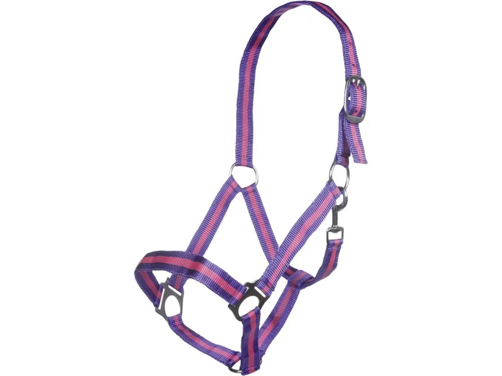 Super Cena Ohlávka -Budapest- purple/pink HKM