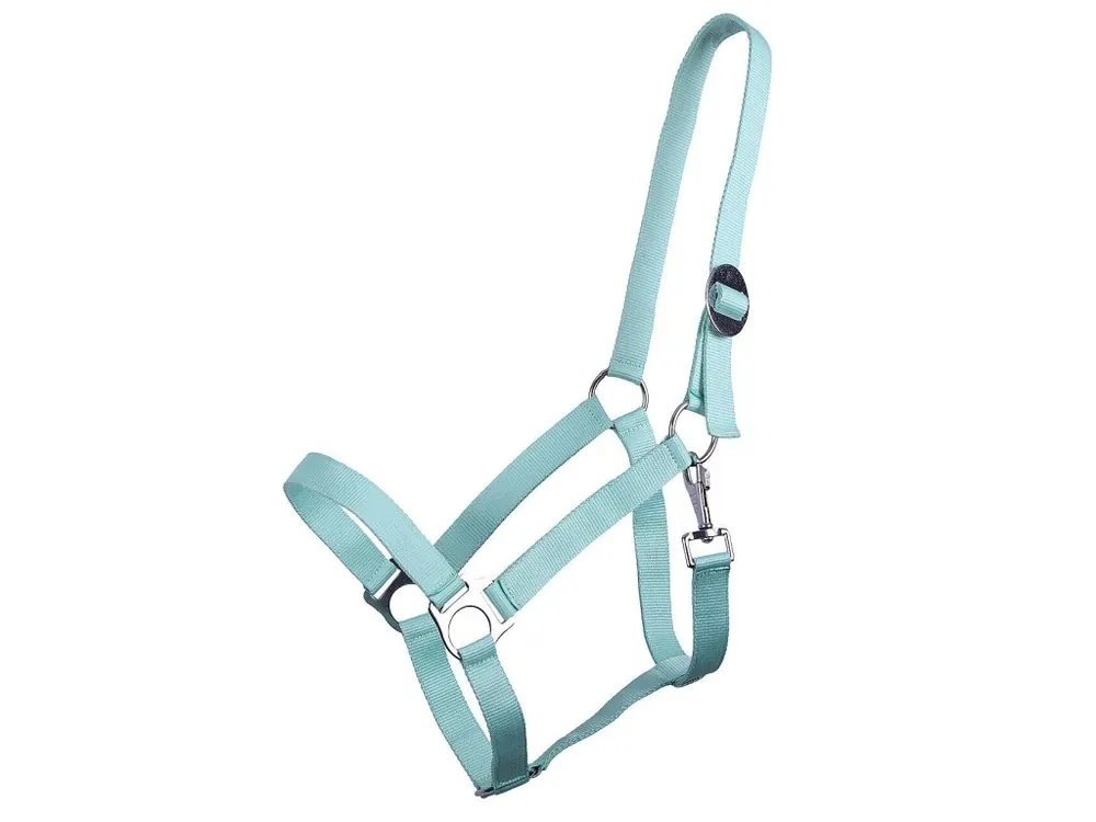 Ohlávka pro koně QHP Slide ice green Oblíbený