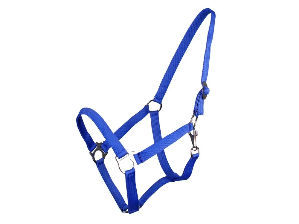 Ohlávka pro koně QHP Slide royal blue Kup Teď