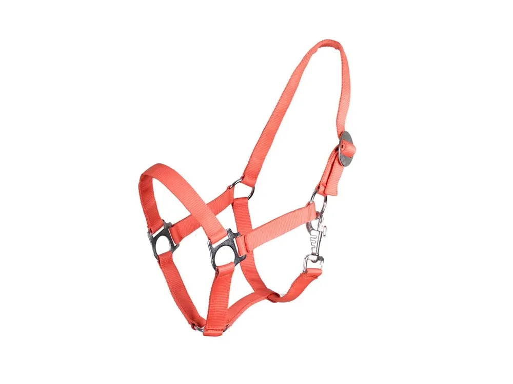 Koupit Online Ohlávka Hot Orange QHP