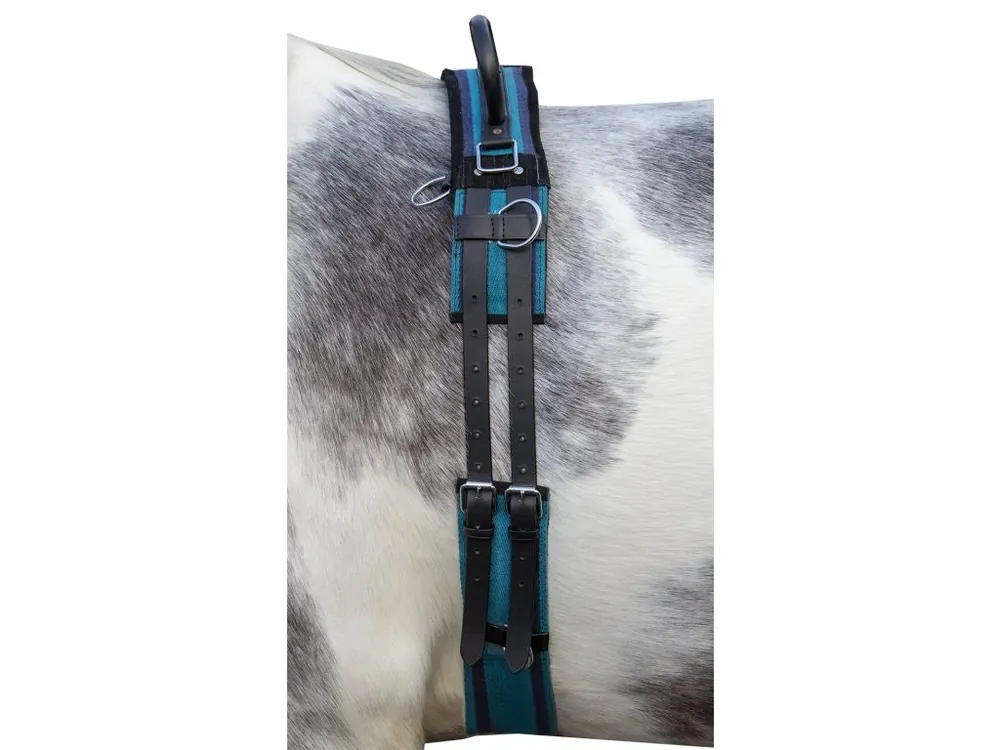 Lonžovací obřišník -Canvas- s dvojitými madly navy/sky blue HKM Super Cena