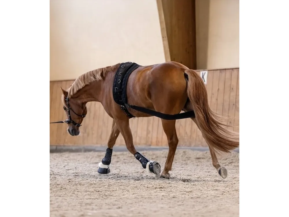 Body bandage na lonžování Sleva