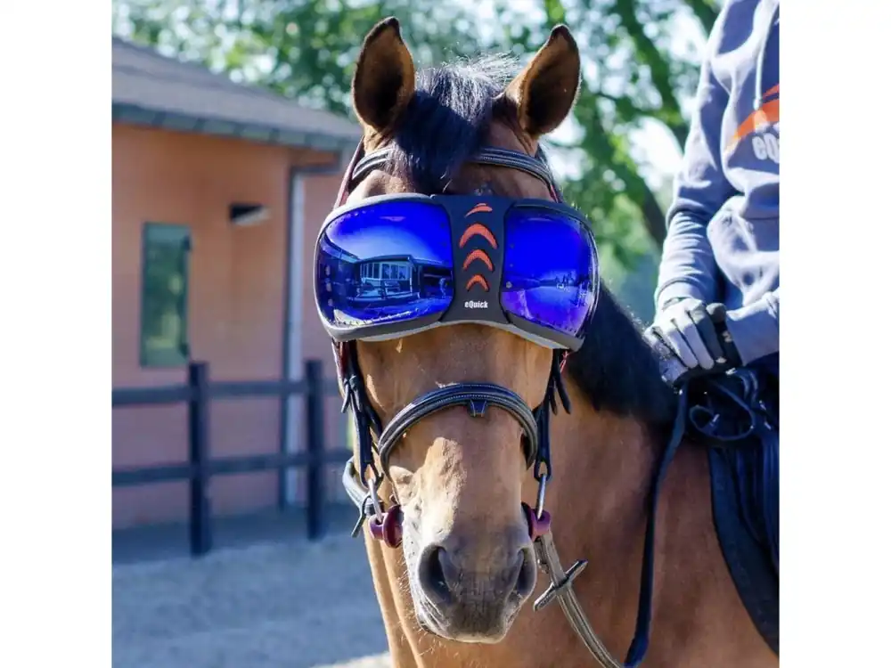 Ochrana očí, brýle pro koně Equick eVysor - rainbow Zlevněný