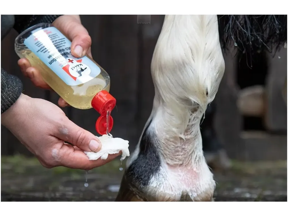 LEOVET mycí roztok první pomoci MED-Waschlotion 250 ml Pouze Dnes