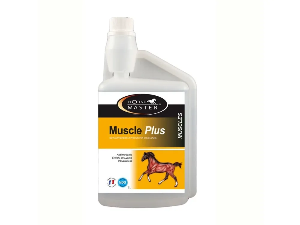MUSCLE PLUS Cenový Hit